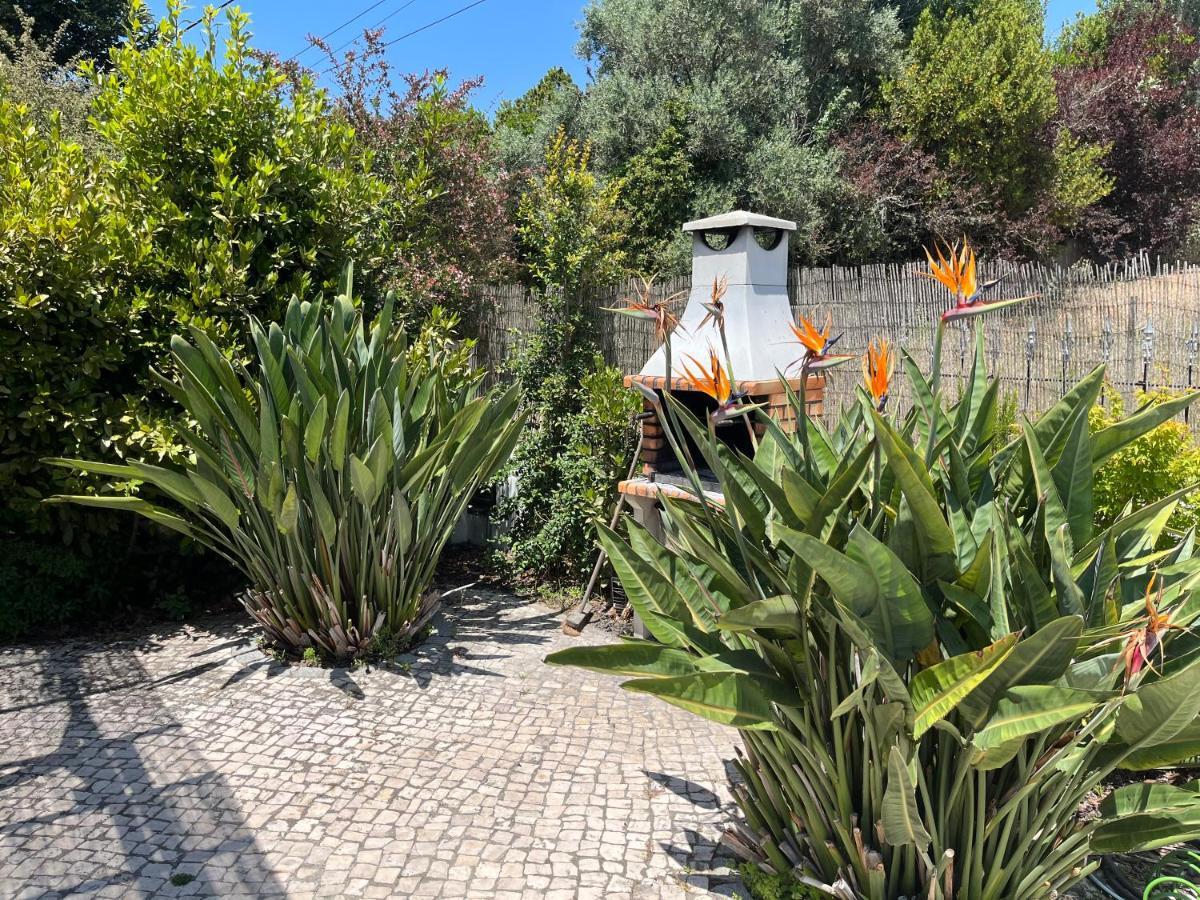 Casa Pausa Sesimbra Holiday Home Ngoại thất bức ảnh